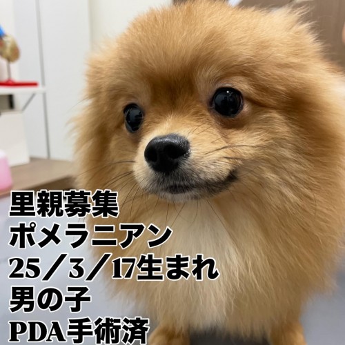 08112094-1316-4780-930D-48A98F5626E4